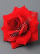 Роза Касандра бархат 4сл 11см (ярко-красный)/К