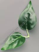 ***Лист каллы дойной 20см