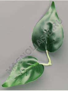 ***Лист каллы дойной 20см