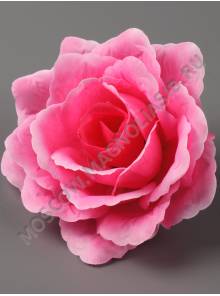 Роза Блессинг 5сл 12,5см (бел крас син перс роз бордо сир)/К