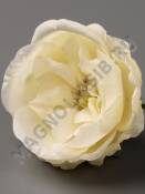 Роза шиповник хлопок 5сл 9см (бел шампань борд лаван мал беж-роз микс)/К