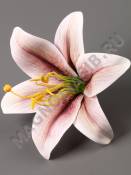 Лилия латексная с 3D печатью14см (бел-ор бел-роз син свек бел-борд) (тыч.см.2200 2205 2211)