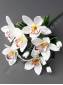 Букет орхидей с бутонами 6гр 33см (микс)