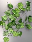  МоскваЛоза виноградная  (в комплекте 5шт) по 2,45м