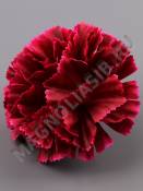 Гвоздика натуральная Санфлор неткан. 4сл 8см (бел крас син кирпич ж-оран вишн малин фиол)