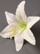 Лилия флористическая 18см без тычинки (мол крас син фио бордо зел) (тычинка см. 2200, 2211, 2