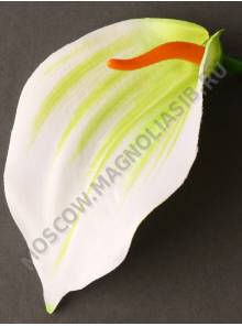 Москва***Калла пестролистная 13см без пестика (крас ) (пестик см 2212)