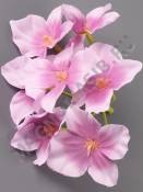 Соцветие гортензии 7 цветочков 11см (бел лайм сир бел-фиол гол карам) 