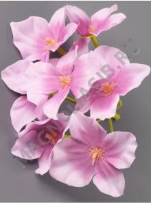 Соцветие гортензии 7 цветочков 11см (бел лайм сир бел-фиол гол карам) 