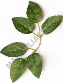 ***Лист розы с прожилками хлопок 6 листьев 19 см 