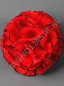 ***Гвоздика бархат с черным краем  4сл 10 см