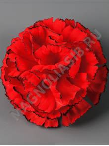 Гвоздика бархат с черным краем  4сл 10 см