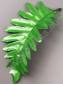 Лист папоротника шелк 19,5 см 