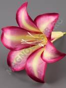 Лилия глубокая сатин 16см с пестиком (бел  крас син слив-жел молоч)