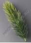***Ветка елки с переходом 9.5см