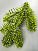 ***Лапка елки 5 веток односторонняя 13 см.