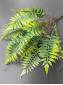 Букет папоротника лесного с корешками 7гр 44см мягкий пластик (зел. зел-роз)