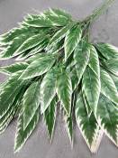 Ветка Манго 3 ветки лист с белой кромкой Эконом 70см.
