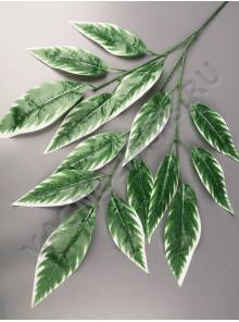 Ветка Манго 3 ветки лист с белой кромкой Эконом 70см.