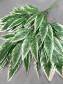 Ветка Манго 3 ветки лист с белой кромкой Эконом 70см.