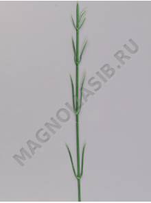 Стебель гвоздики 38см