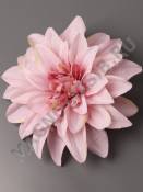 Георгин хлопок 6 сл 14 см (бел крас сир фио борд пепел-роз перс)