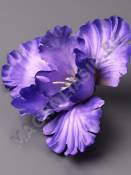 Ирис плотный сатин 3сл. 12см (бел мал сир фиол фио-зел)