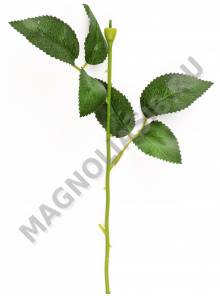 Стебель с листом розы 37см