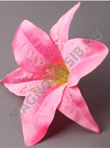 РАСПРОДАЖА.Лилия хлопок 21см без тычинки (лайм роз оран) (тычинку см. 2200, 2205, 2211)