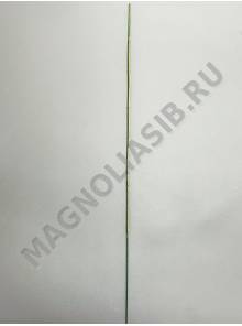 Стебель утолщенный без листа 47см