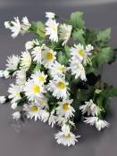 АКЦИЯ Букет ромашек натуральных с бутонами 13гр 50см (бел)