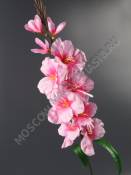 Гладиолус 49/76см (красн оран)