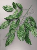 Ветка манго 5 веток натуральная зелень 75см.