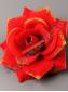 Роза бархат красная с золотом 5сл 15,5см