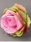 Роза Грин Пинк 8сл 9см (бел,роз )