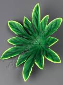 ***Подразетник- лист пиона с желтой кромкой неткан. 18см 