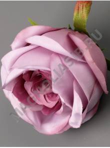 Роза Амалия флорист с пеной шелк 10см (бел крас гол сир пудр)