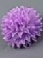 РАСПРОДАЖА ***Москва Хризантема неткан. 6сл 10.5см 