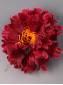 РАСПРОДАЖА ***Москва Хризантема махровая неткан 3сл 12.5см (крас желт роз борд)