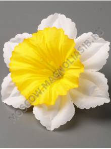 Нарцисc шелк 2сл 11см в комплекте (бел б-жел крас син сир ж-оран)