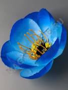 РАСПРОДАЖА. Анемона нетканная 2сл 12см (бел крас син мал сир роз)/К