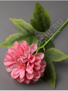 Ветка георгина Помпонного неткан.48см (бел борд оран пепел-роз персик сир мал) 